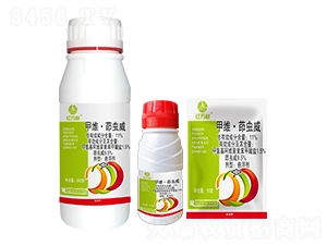 11%�׾S�����x���Ҹ���-�t�f��-�l(xi��ng)�弾�L-���˹����r��