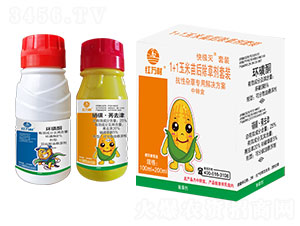 1+1���������݄����b-��O�����b-�t�f��-�l(xi��ng)�弾�L(f��ng)-���˹����r(n��ng)��