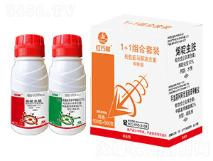 1+1�����E�R�M�����b-�t�f��-�l(xi��ng)�弾�L-���˹����r��