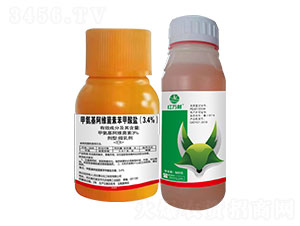 3.4%�װ������S���ر������}-�t�f��-�l(xi��ng)�弾�L-���˹����r��