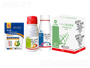 1+1�������x�M�����b-�t�f��-�l(xi��ng)�弾�L-���˹����r��