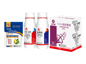 1+1+1�������x�M�����b-�t�f��-�l(xi��ng)�弾�L-���˹����r��