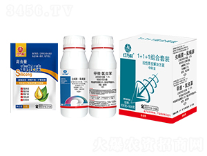 �������x1+1+1�M�����b-�t�f��-�l(xi��ng)�弾�L-���˹����r��