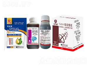 1+1+1�������x�׷�ʭ��Q����-�t�f��-�l(xi��ng)�弾�L-���˹����r��