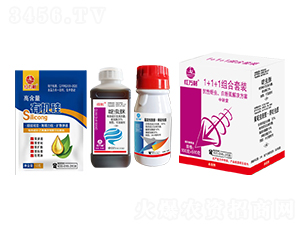 1+1+1�M�����b���������x�׷�ʭ��Q������-�t�f��-�l(xi��ng)�弾�L-���˹����r��