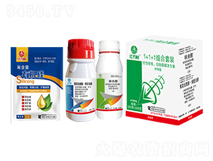 1+1+1�M�ϣ��������x�׷�ʭ��Q������-�t�f��-�l(xi��ng)�弾�L-���˹����r��