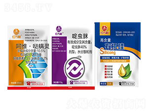 40%��x��+10.5%���S���}���`+�ЙC��-�t�f��-�l(xi��ng)�弾�L-���˹����r��