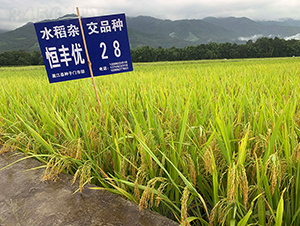 ���S��(y��u)28���������㵾��-ˮ���N��-���r(n��ng)�Ƽ�