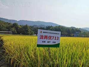 �{�Ƀ�(y��u)713-ˮ���N��-���r(n��ng)�Ƽ�