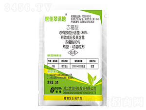 80%��ù��-���Ѵ�M(m��n)��-����