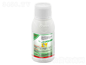 5%�װ������S���ر������}-�c��-����