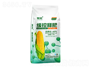 ����ጷ�26-8-8-����-���л�����