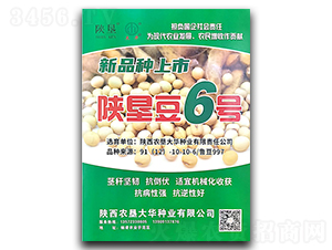 ꃉ���6̖(h��o)-�󶹷N��-ꃉ����A