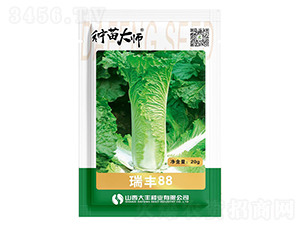 ���S88-��ײ˷N��-���S�N�I(y��)