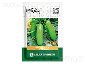 �S��601-�����J�N��-���S�N�I(y��)