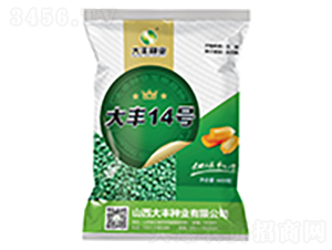 ���S14̖-���׷N��-���S�N�I(y��)