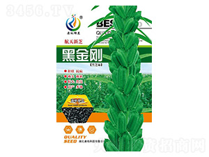 �ڽ���-֥��N��-���ؿƼ�