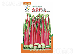 苔苔鮮-菜薹種子-康地科技