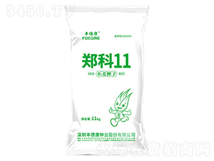 ����11-С���N��-�S�¿�