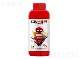 �ЙCҺ�w⛷�-�t�b��ζ�-�����ʘI(y��)