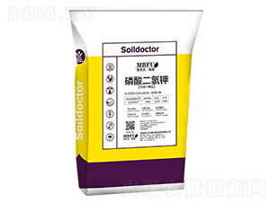 �������⛣�����-���ͷ�