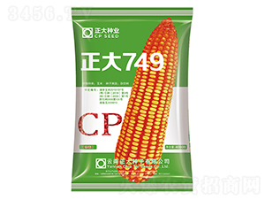 ����749-���׷N��-����N�I(y��)