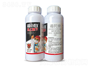 30%毒死蜱微囊懸浮劑-程小白·地上地下-邦農農業(yè)