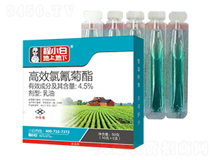 50�˸�Ч�������-��С�ס����ϵ���-���r�r�I(y��)