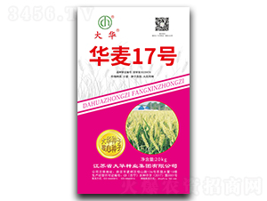 �A��17̖(h��o)-С���N��-���A�N�I(y��)