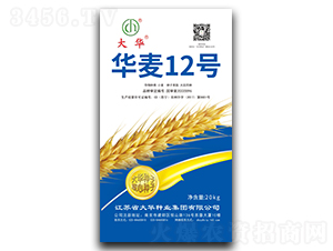 �A��12̖(h��o)-С���N��-���A�N�I(y��)