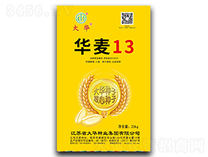 �A��13-С���N��-���A�N�I(y��)