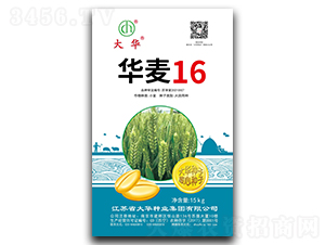 �A��16-С���N��-���A�N�I(y��)