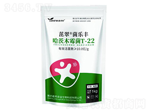 ����ľù��T-22-�κ��r(n��ng)�I(y��)