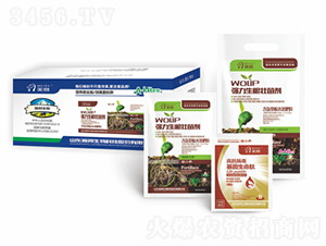 �������~��ʠI(y��ng)�B(y��ng)�ײ�A+B-嫰����� 