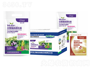 ������~���L��-嫰�����