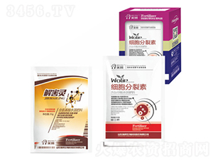 �⺦�`-嫰�����