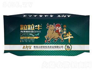 ����ţ������ĵ���-���ɹ�