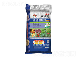 �ЙC-�o�C����ͻ����11-5-4-������-���f�ʘI(y��)