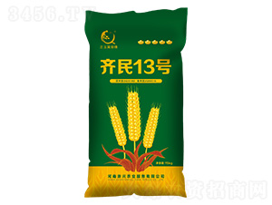 С���N��-�R��13̖-��֮Ʒ