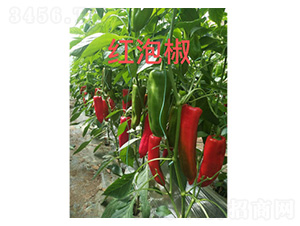 �t�ݽ������N��-���S�r(n��ng)�I(y��)