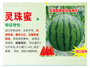 ���ϷN��-�`����-���S�r(n��ng)�I(y��)