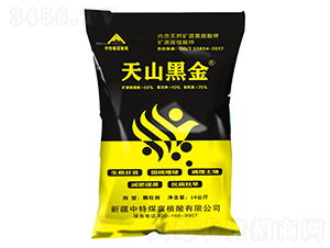 天山黑金-中特煤