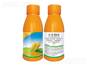 36%��������ݬȥ��ɷ�ɢ�͑Ҹ���-�M�܌�-�Z�����r(n��ng)�I(y��)