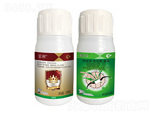 ���޽M��-����¡����