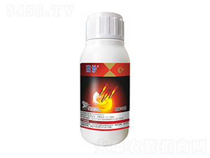 �x(ch��ng)�E�ͻ�����-����-����¡����