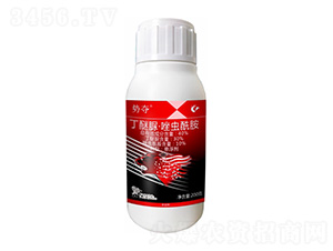 40%�����塤���x(ch��ng)����-��(sh��)�Z-����¡����