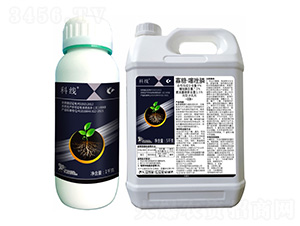 9%���ǡ������-�ƾ�(xi��n)-����¡����