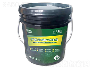 �VԴ�S�����ĸҺ-���R