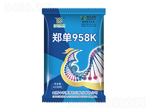 鄭單958K-中農(nóng)賽博