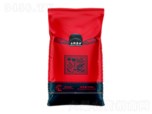 �������fù�`-��������-����ɭ